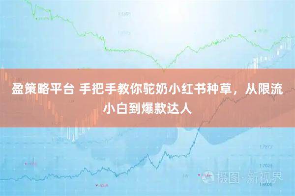 盈策略平台 手把手教你驼奶小红书种草，从限流小白到爆款达人